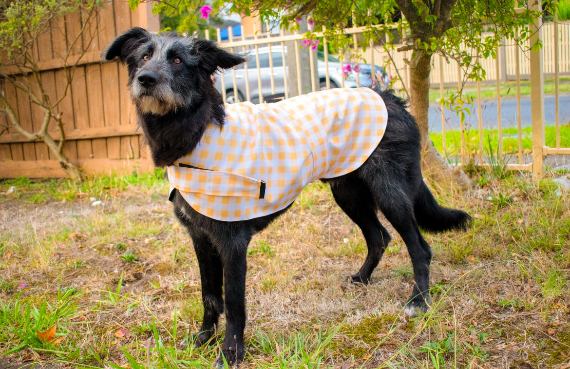 "Nonna's Tablecloth" Water Resistant Handmade Dog coat