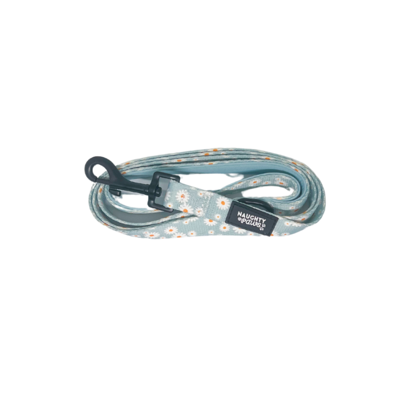 Aurora: Leash