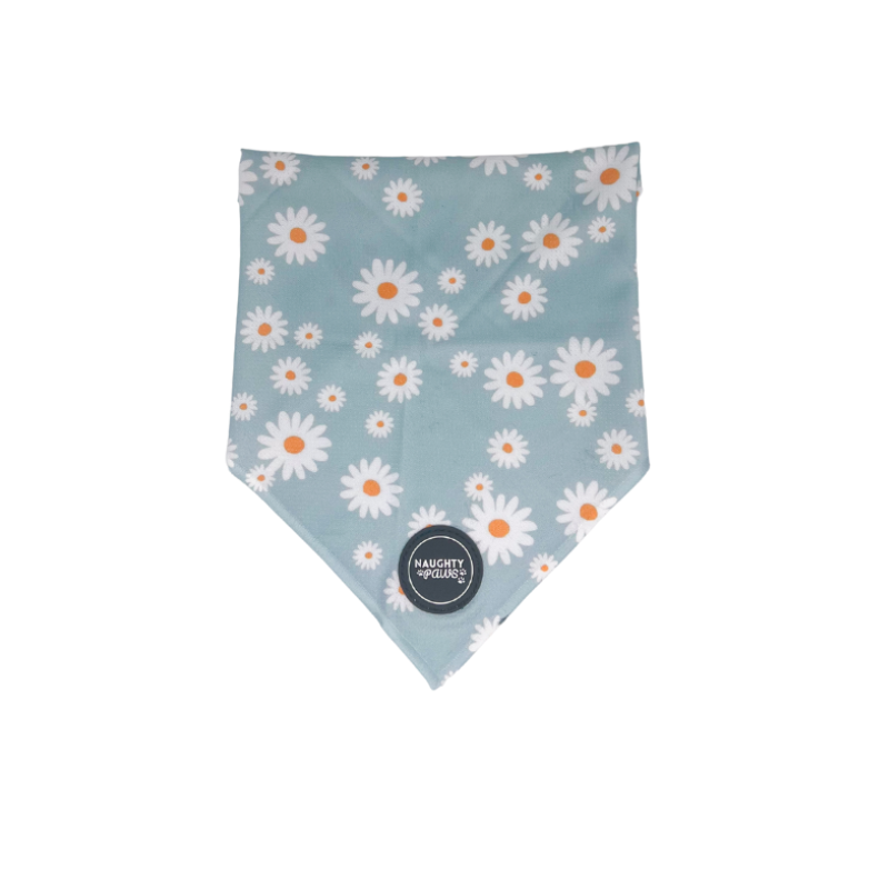 Aurora: Tie on Bandana