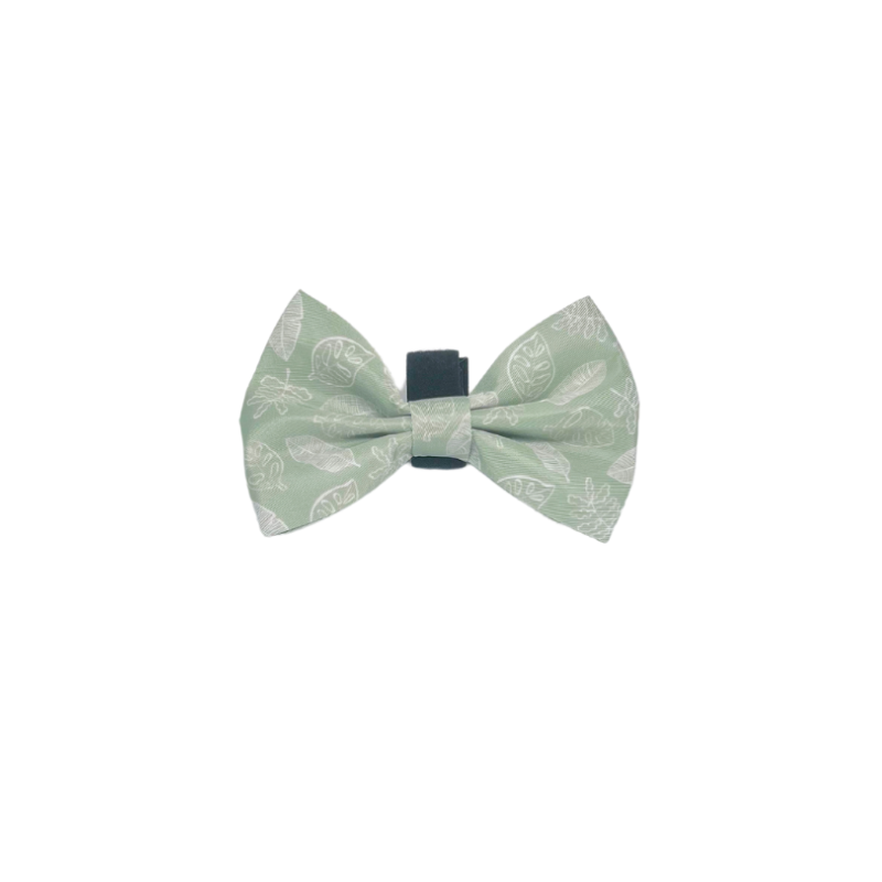Hunter: Bow Tie