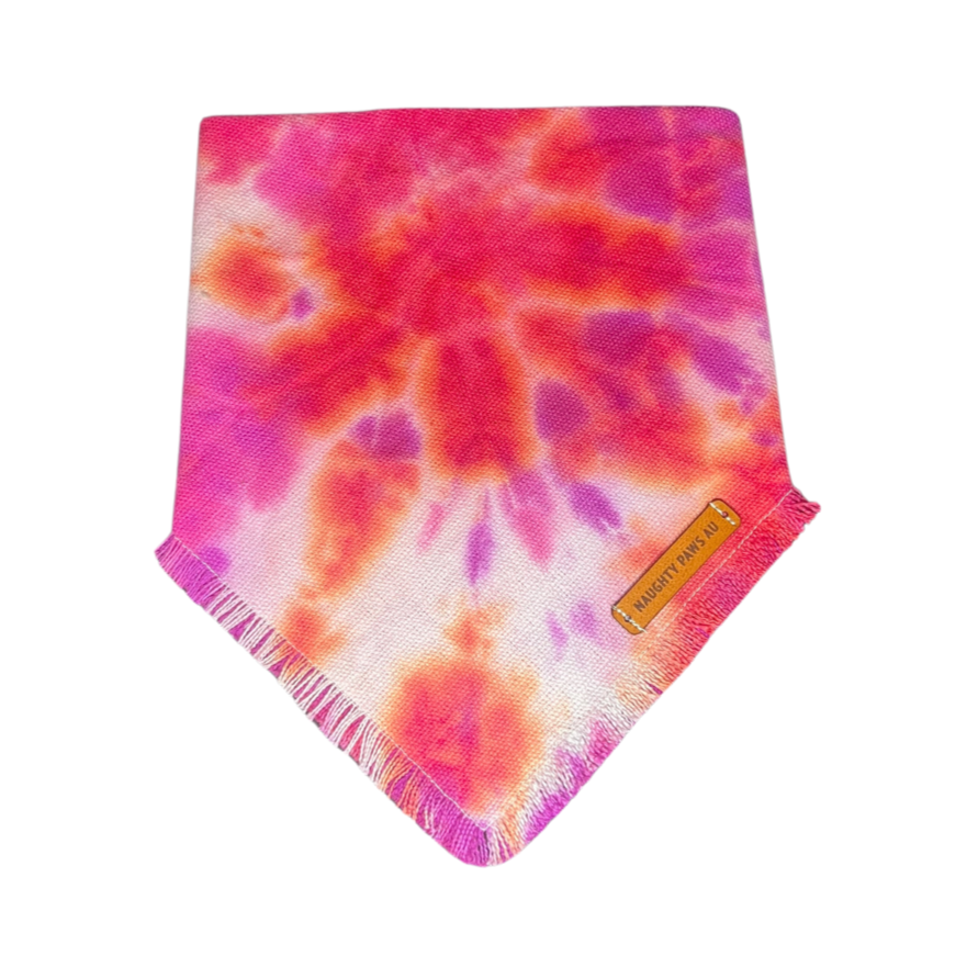 "Calypso" S Pet Bandana | 23/45