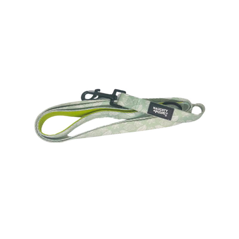 Hunter: Leash
