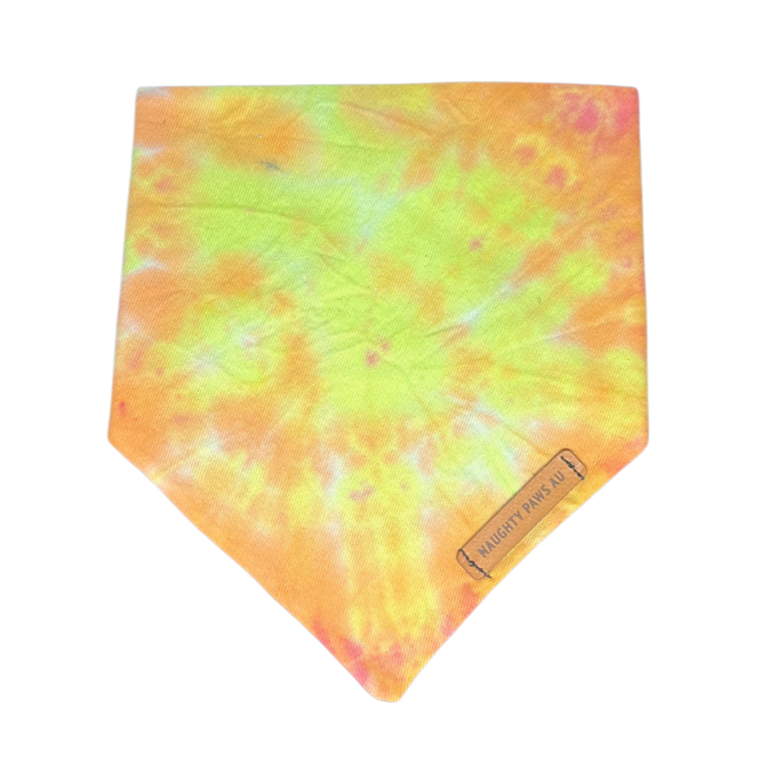 "Sunny" XS Pet Bandana | 14/45