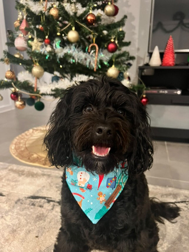 "Santa's Workshop" Pet bandana