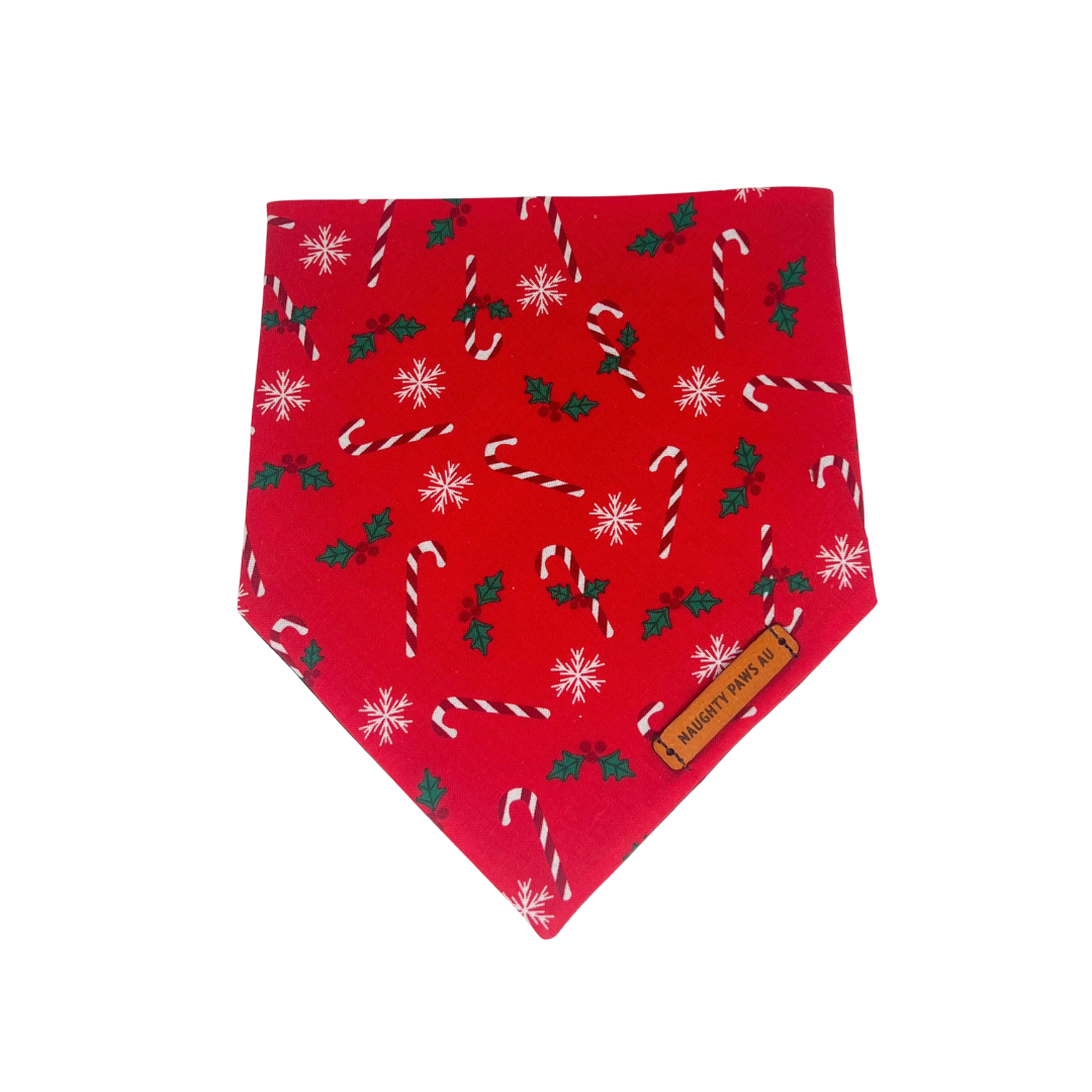 "Sweet Tooth" Pet bandana