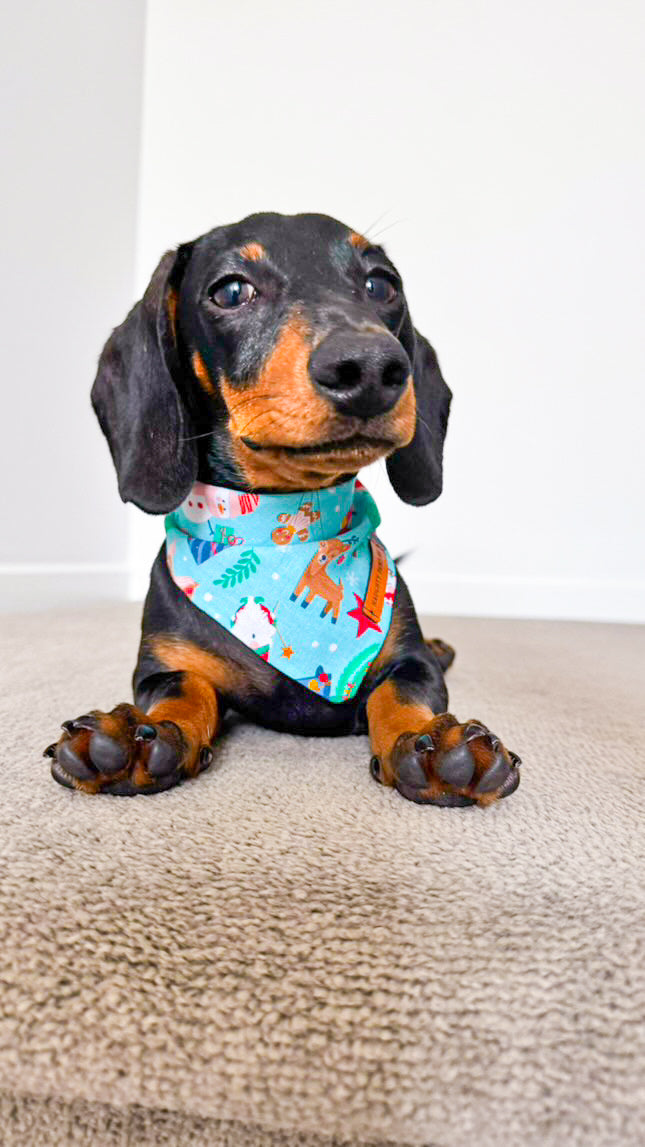 "Santa's Workshop" Pet bandana