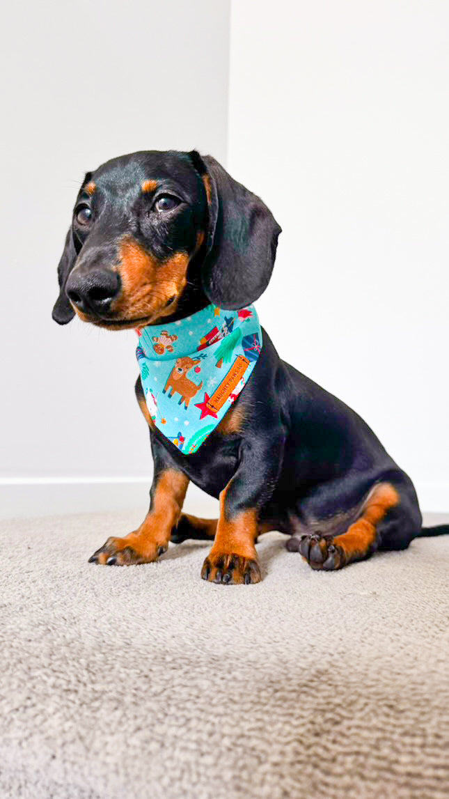 "Santa's Workshop" Pet bandana