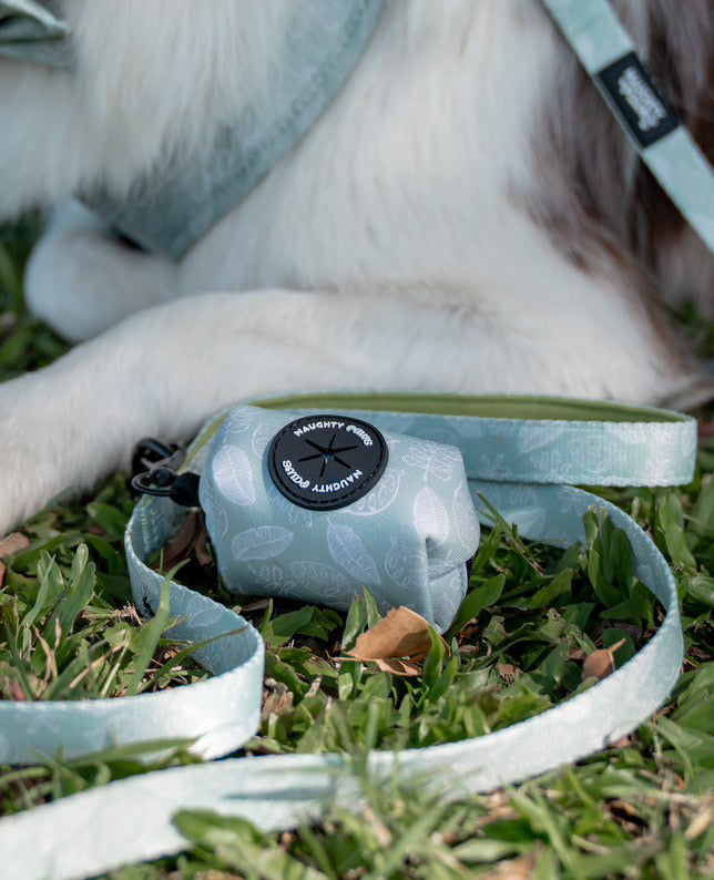 Hunter: Leash