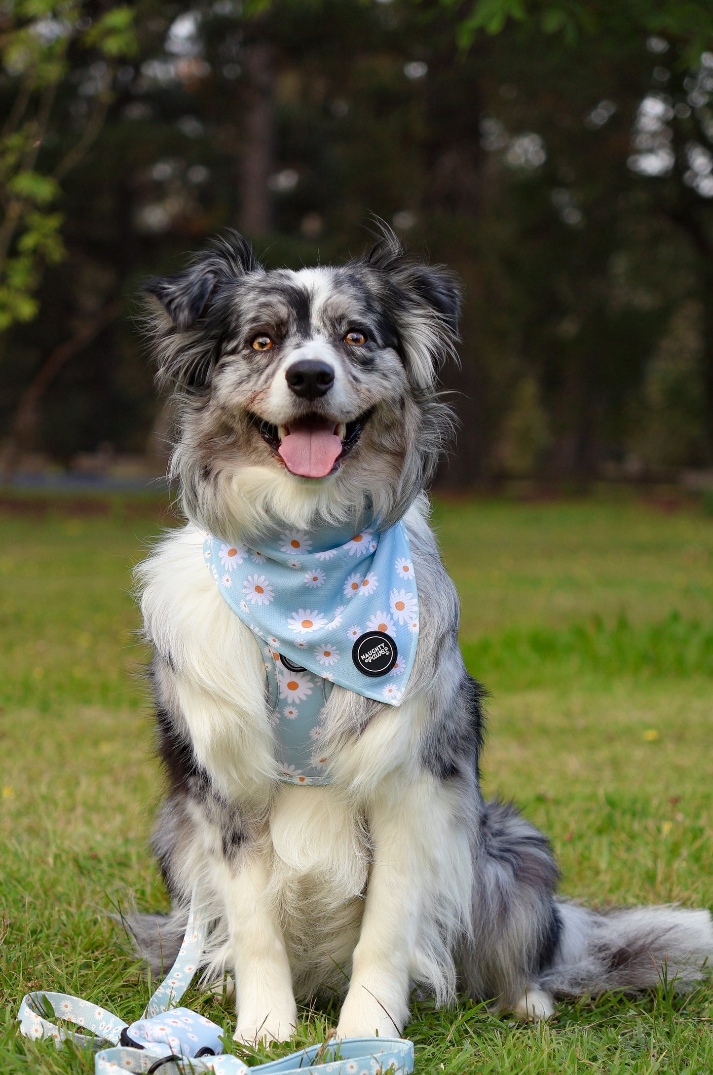 Aurora: Tie on Bandana