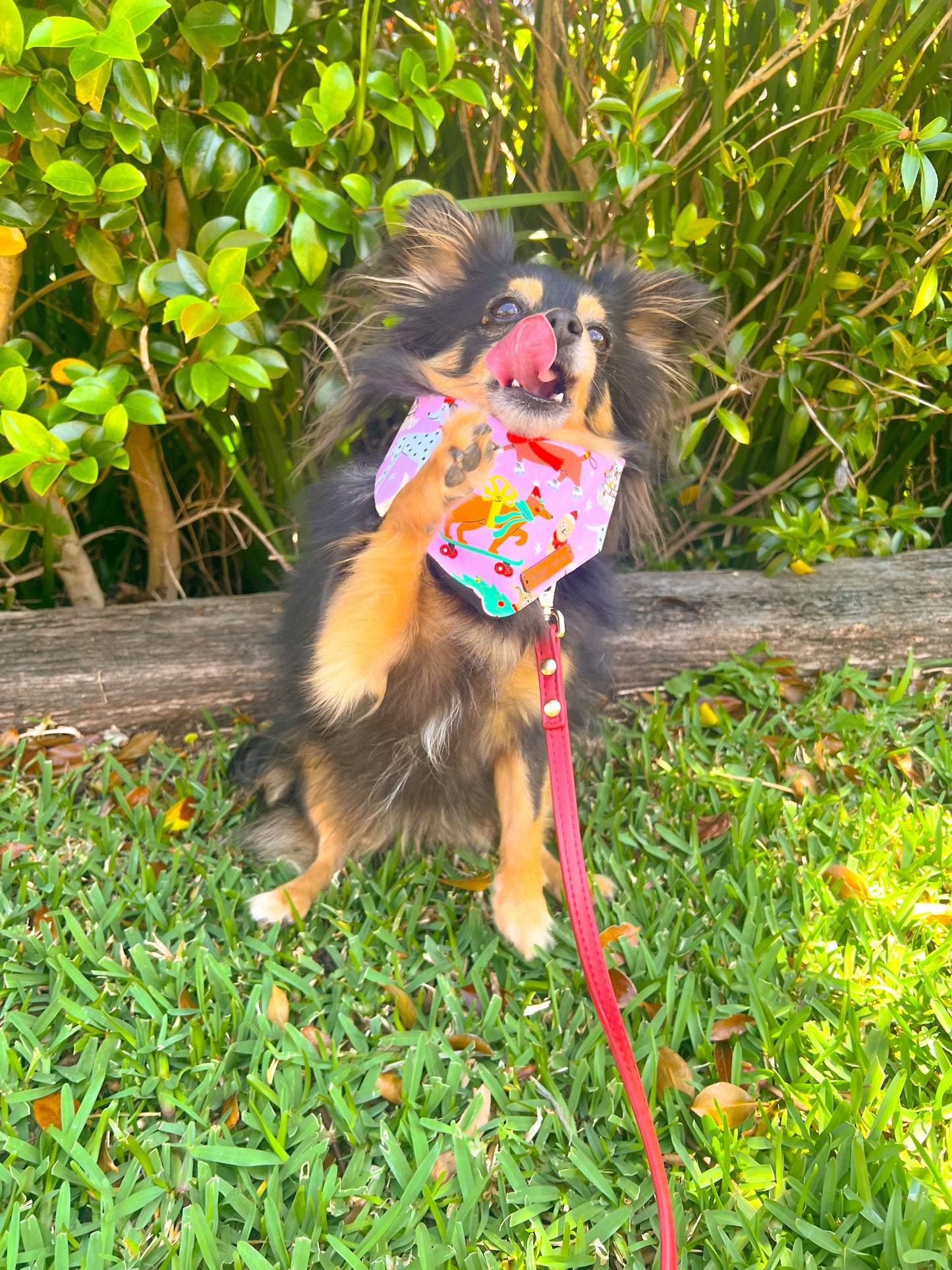 "Santa Paws" Pet bandana