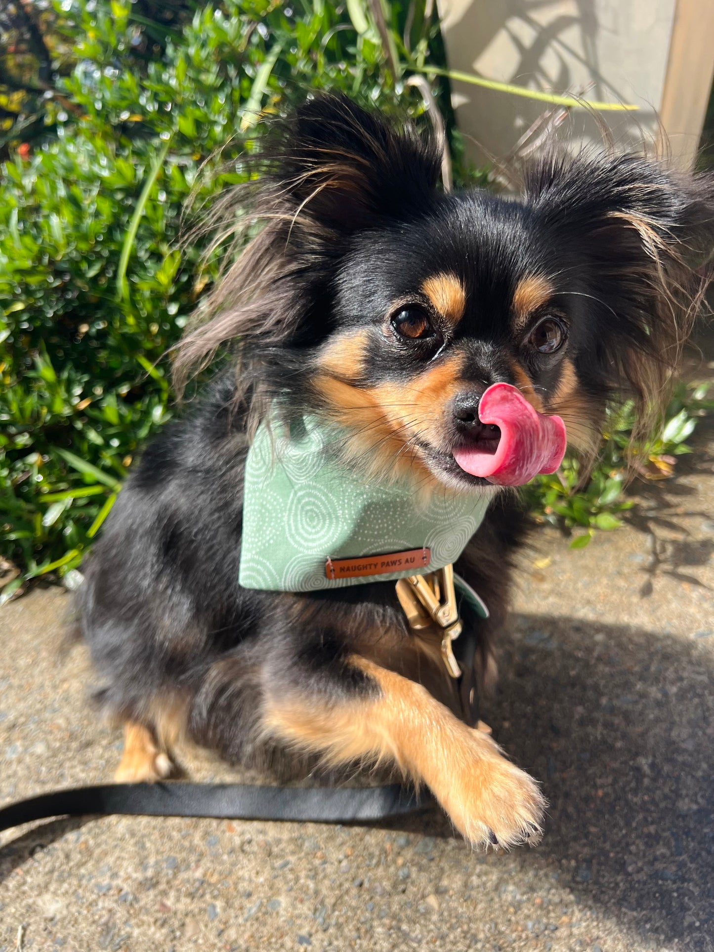 "Feeling Pine" Pet bandana