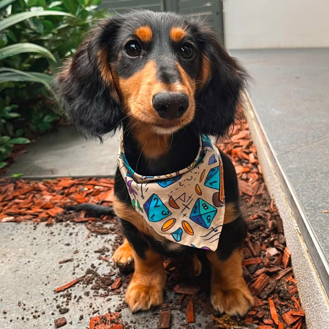 "Dragons & Dogs (D&D)" Pet bandana