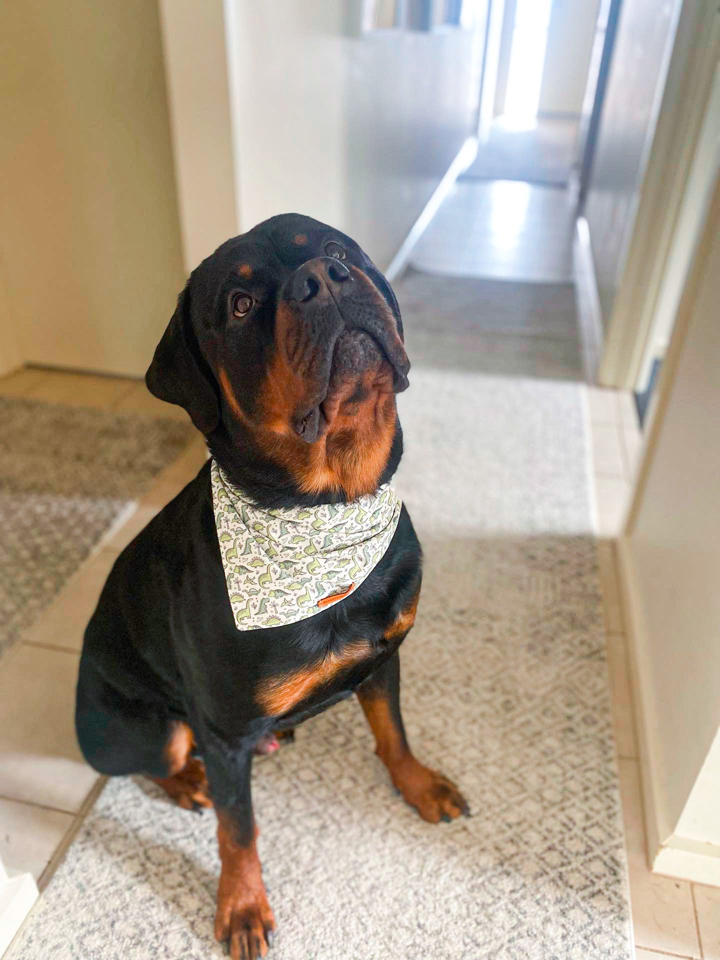 "Roarsome!!" Pet bandana