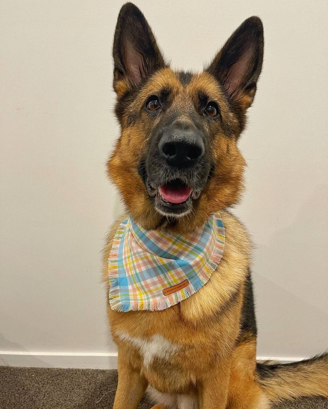 "Pastel Plaid" Frayed pet bandana