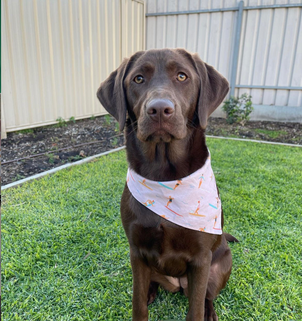 "Surfs up" Dog bandana