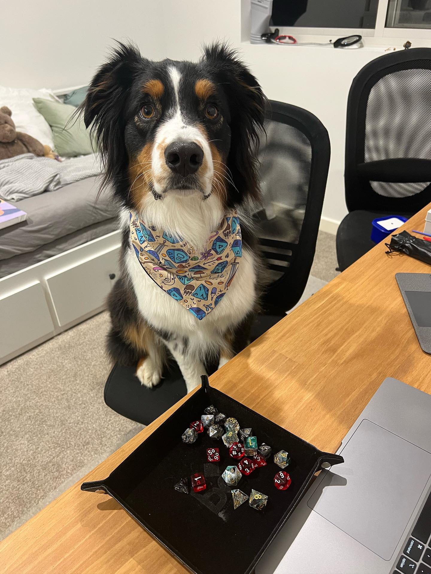 "Dragons & Dogs (D&D)" Pet bandana