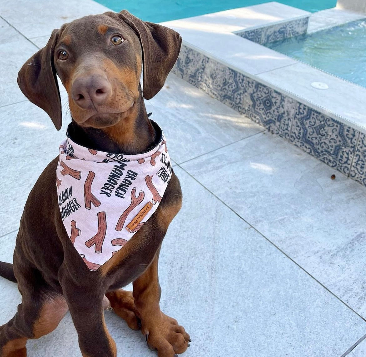 "Branch Manager (PINK)" Pet bandana