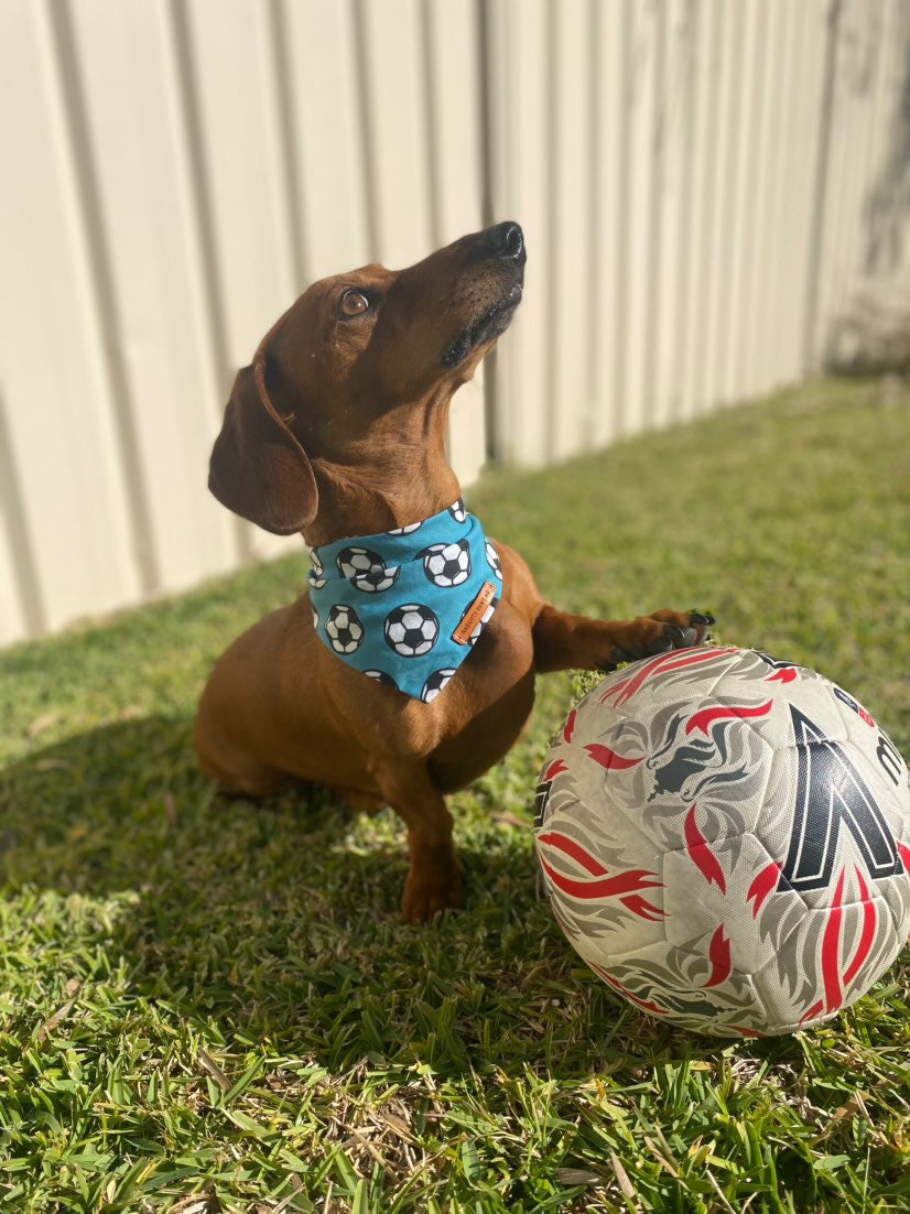 "GOALLL!" Pet bandana