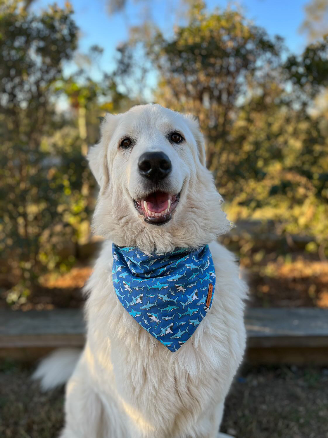 "Mako My Day" Pet bandana
