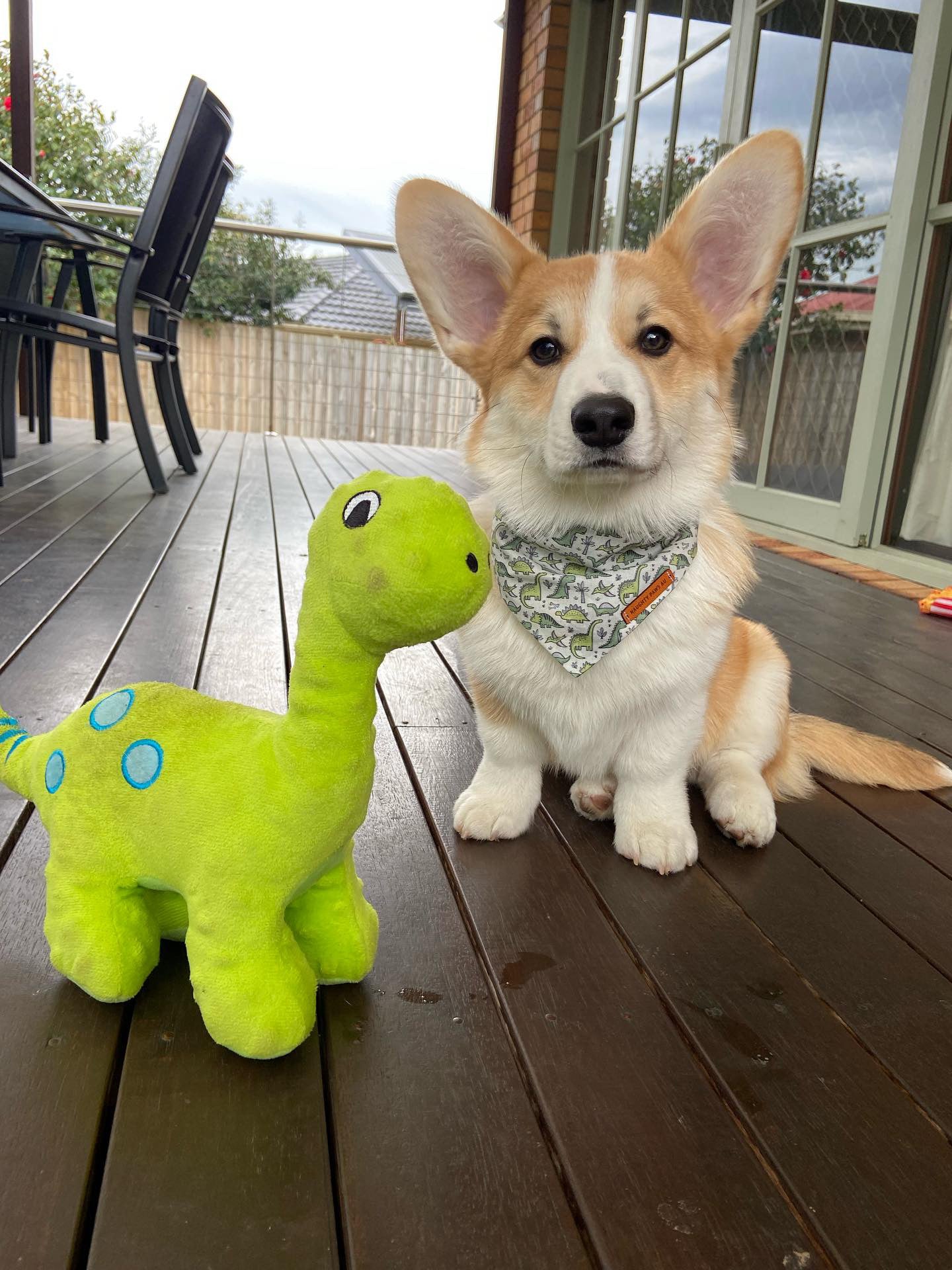 "Roarsome!!" Pet bandana