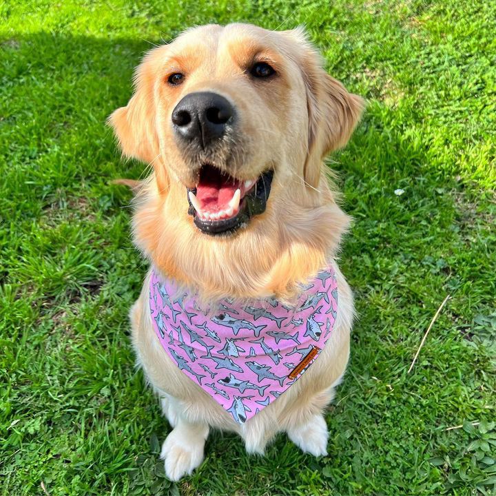 "Mako My Day" (PINK) Pet bandana