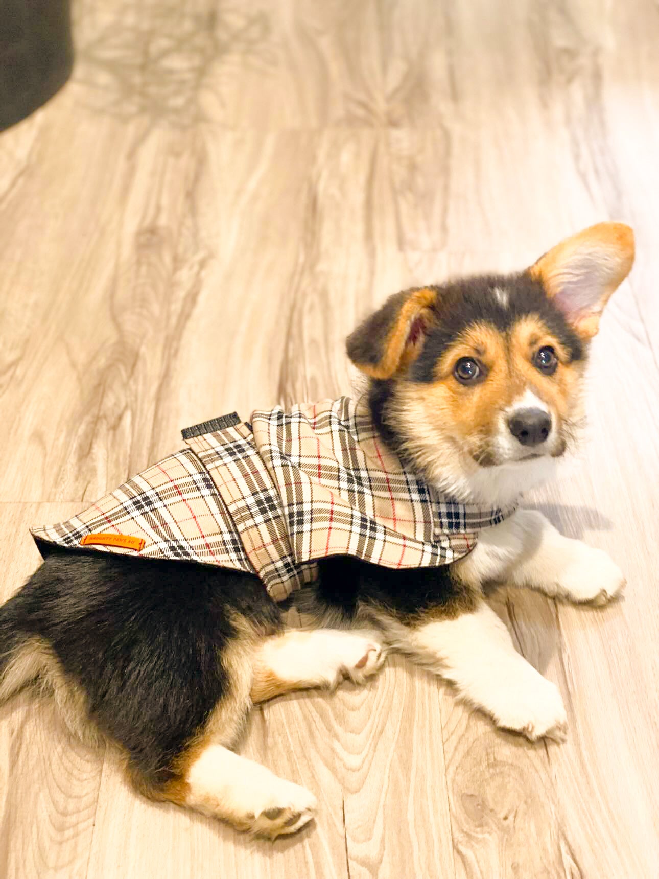 "Furrberry" Handmade Dog coat