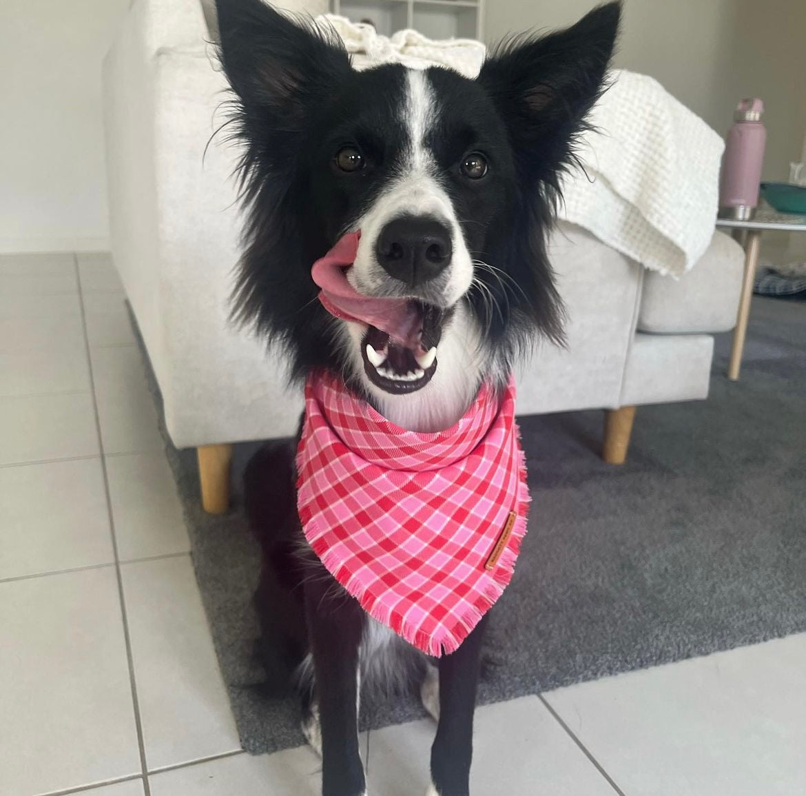 "Strawberries & cream" Pet bandana