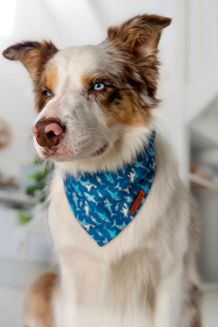 "Mako My Day" Pet bandana