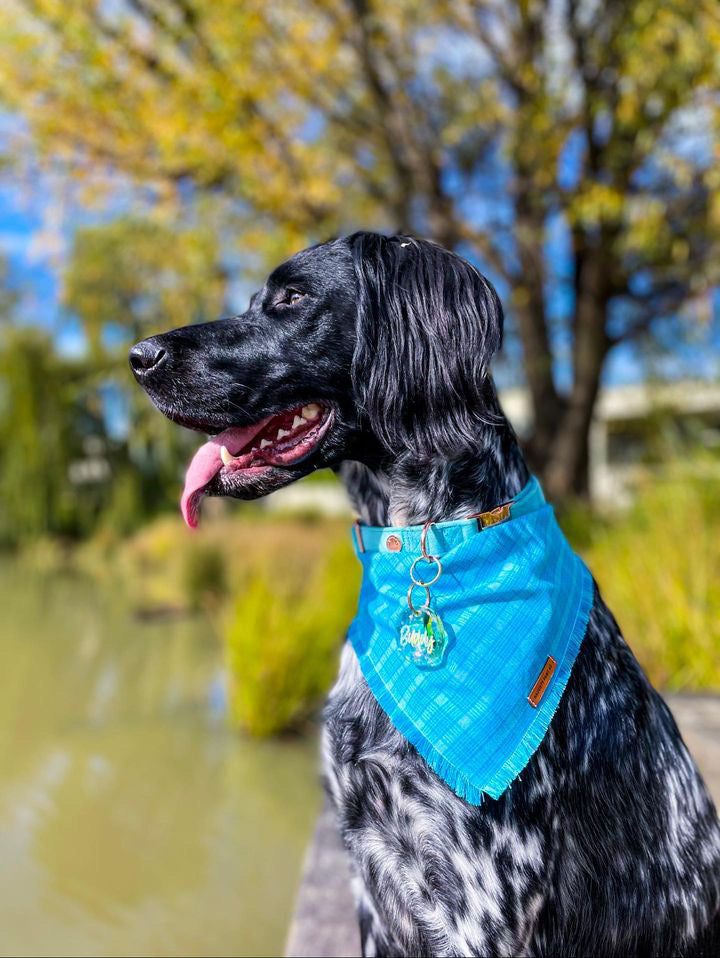 "Milan" Frayed pet bandana