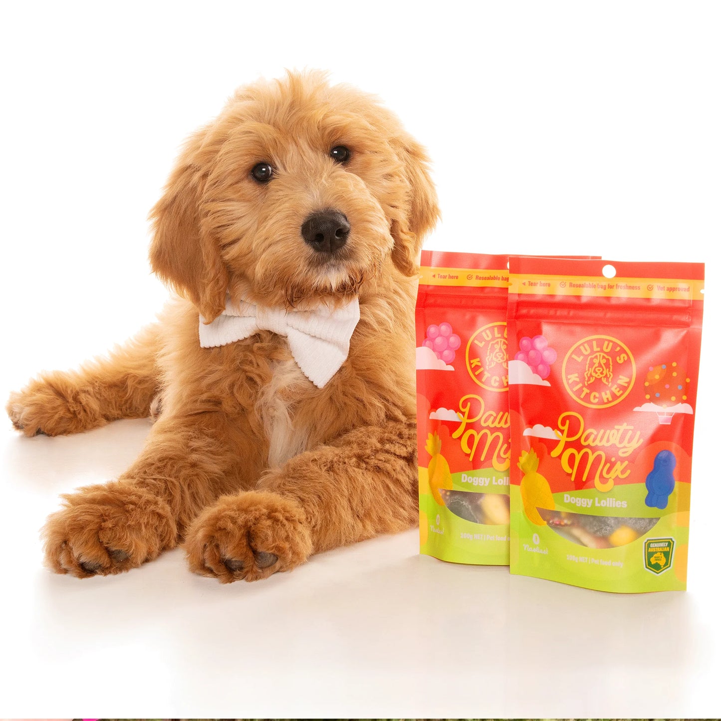 Pawty Mix Dog Treats 100g | Rover Pet Products