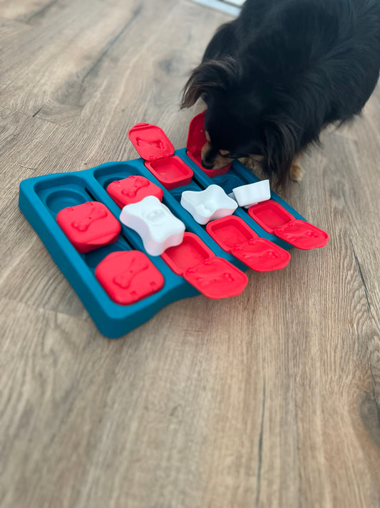Nina Ottosson | Dog Brick Interactive Puzzle  (LEVEL 2)