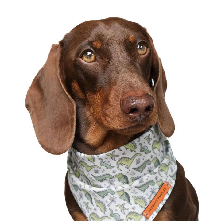"Roarsome!!" Pet bandana