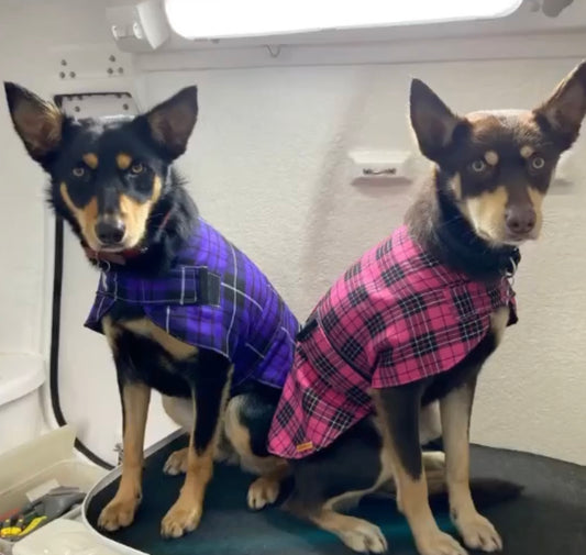 "Legally Plaid" Handmade Dog coat