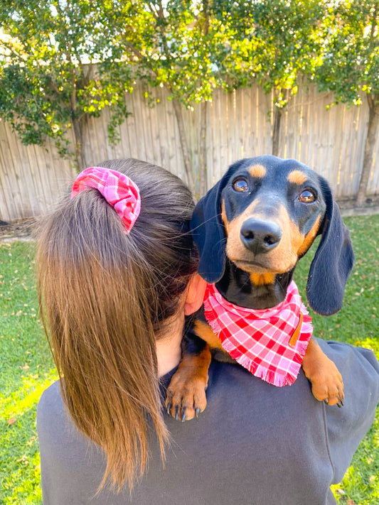 "Strawberries & cream" Pet bandana