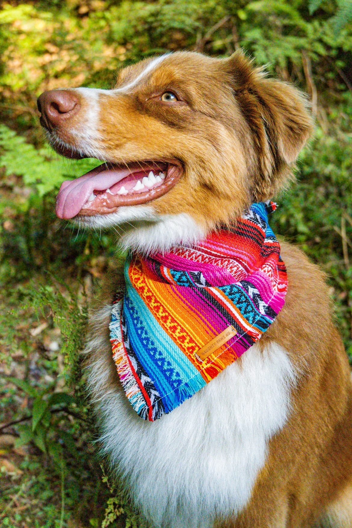 "Aphrodite" pet bandana