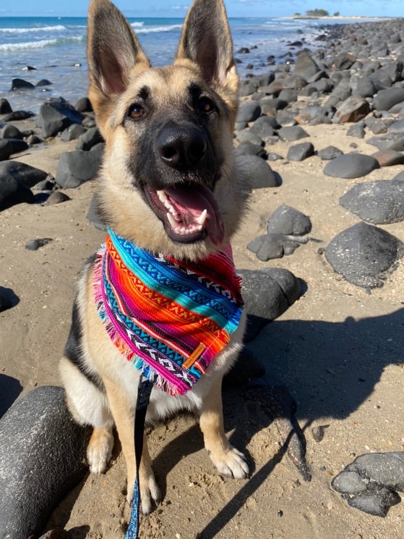 "Aphrodite" pet bandana